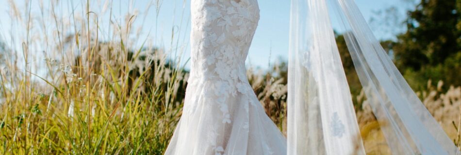Hello World Featured Image